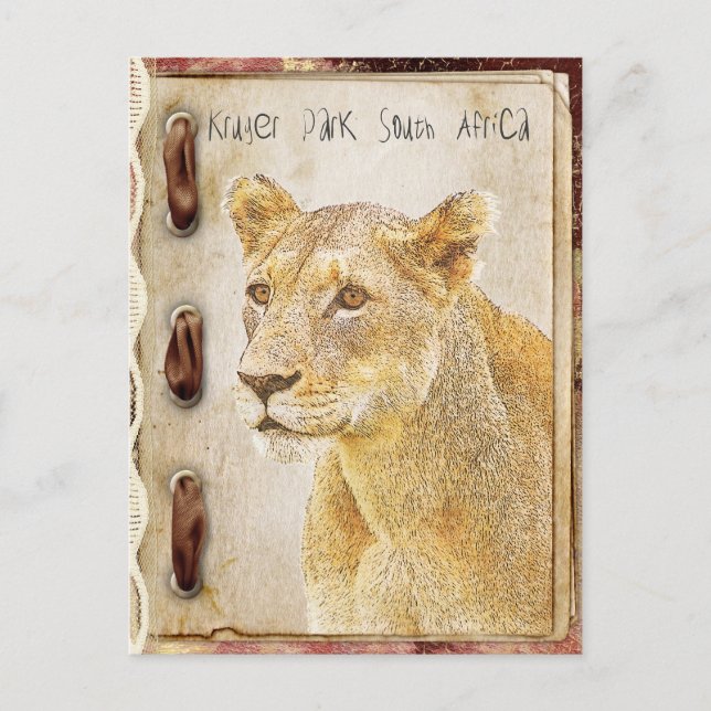 Cartão Postal Parque Kruger, África do Sul (Frente)