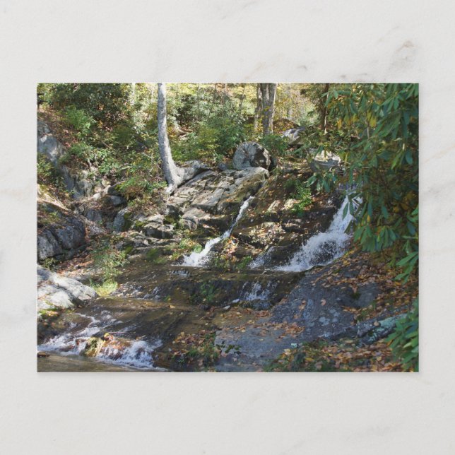 Cartão Postal Parque Memorial Bobby McLean #5, Newland, NC (Frente)