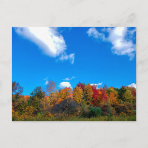 Cartão Postal Parque Metro de Blendon Woods em Fall, Columbus, O