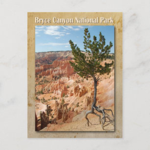 Cartão Postal Parque Nacional Bryce Canyon, Utah