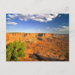 Cartão Postal Parque Nacional Canyonlands, Utah, Estados Unidos