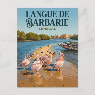 Cartão Postal Parque Nacional da Langue de Barbarie Senegal