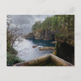 Cartão Postal Parque Nacional da Olimpiadas de Cape Flattery