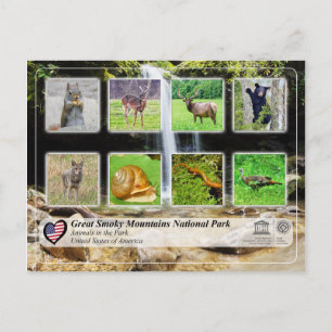 Cartão Postal Parque Nacional das Montanhas do Enfumaçado excel