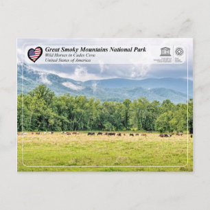 Cartão Postal Parque Nacional das Montanhas do Enfumaçado excele