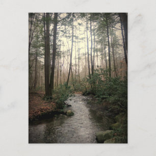 Cartão Postal Parque Nacional das Montanhas do Enfumaçado excele