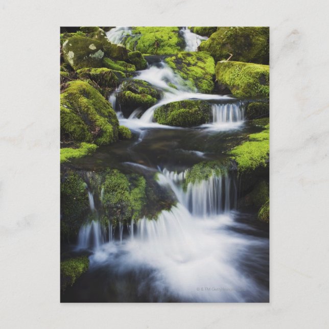 Cartão Postal Parque Nacional das Montanhas do Enfumaçado excele (Frente)