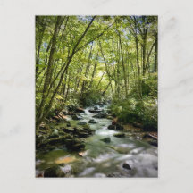 Parque Nacional das Montanhas do Enfumaçado excele