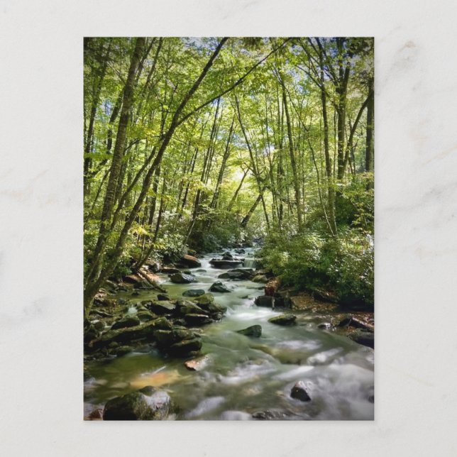 Cartão Postal Parque Nacional das Montanhas do Enfumaçado excele (Frente)