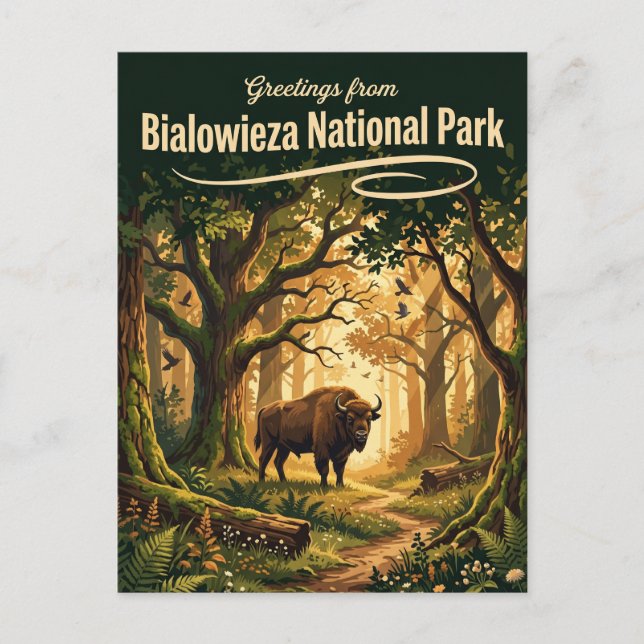 Cartão Postal Parque Nacional de Białowieża Polônia (Frente)