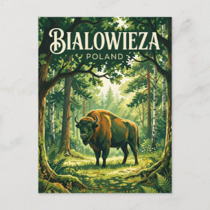 Cartão Postal Parque Nacional de Białowieża Polônia
