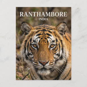 Cartão Postal Parque Nacional de Ranthambore Índia