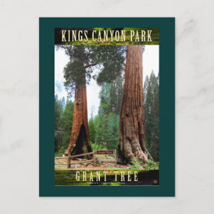 Cartão Postal PARQUE NACIONAL DE SEQUOIA-Califórnia-General Gran