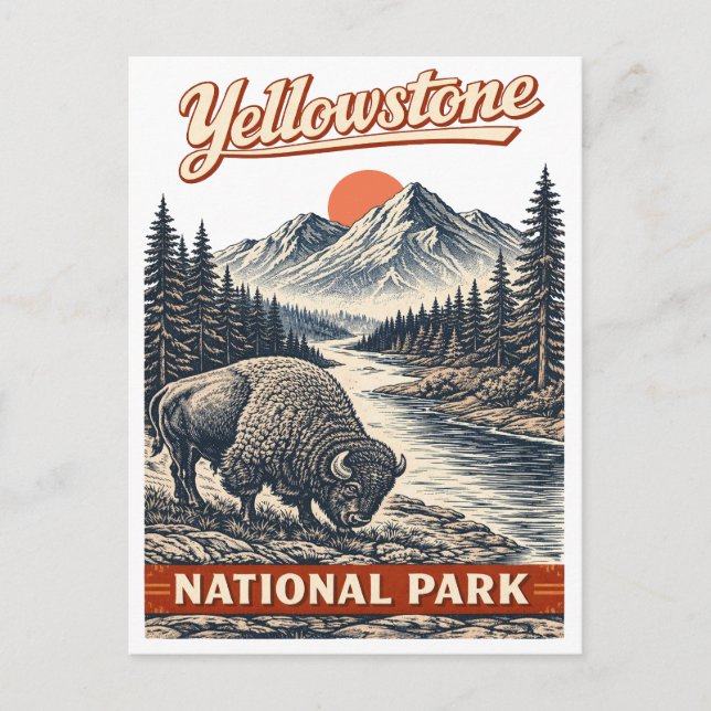 Cartão Postal Parque Nacional de Yellowstone - Bisonte (Frente)