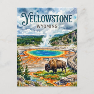 Cartão Postal Parque Nacional de Yellowstone EUA