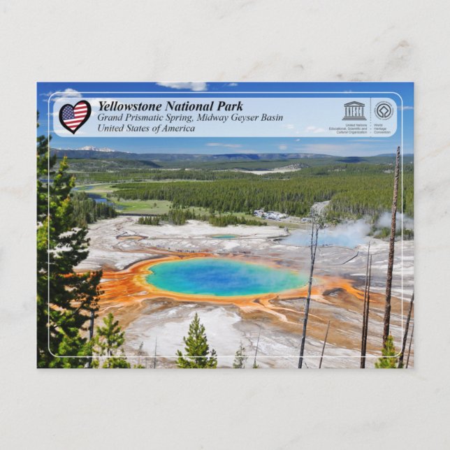 Cartão Postal Parque Nacional de Yellowstone - Grande Primavera  (Frente)