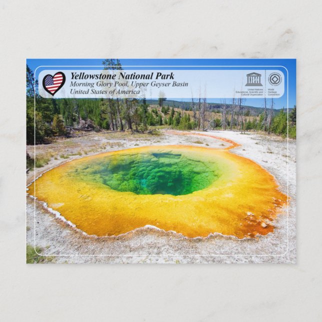 Cartão Postal Parque Nacional de Yellowstone - Morning Glory Poo (Frente)