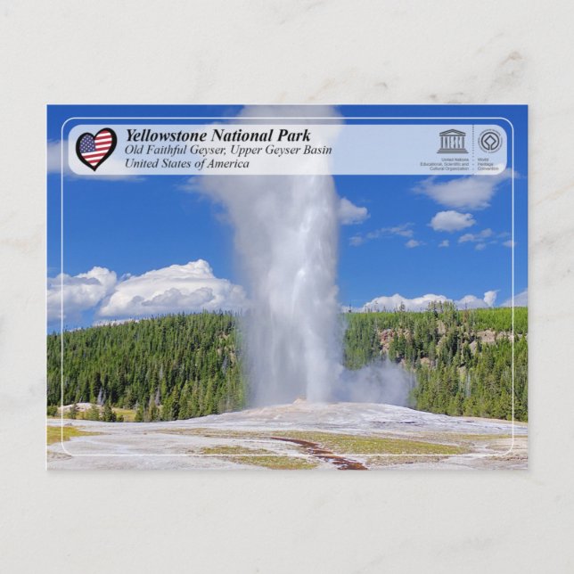 Cartão Postal Parque Nacional de Yellowstone - Velha Geyser Fiel (Frente)