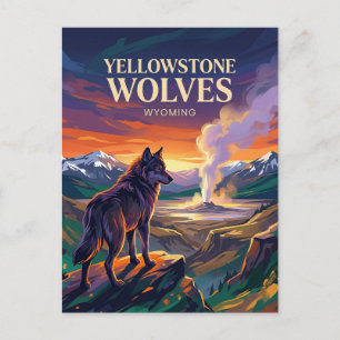Cartão Postal Parque Nacional de Yellowstone Wyoming