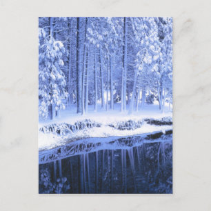 Cartão Postal PARQUE NACIONAL DE YOSEMITE, CALIFÓRNIA. EUA. Fres