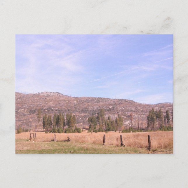 Cartão Postal Parque Nacional de Yosemite na Califórnia PostCard (Frente)