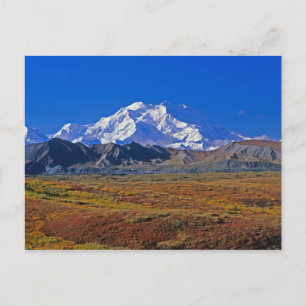Cartão Postal Parque Nacional Denali Mt. McKinley, Alasca.