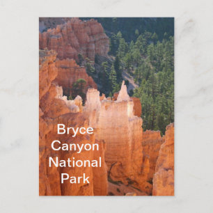 Cartão Postal Parque Nacional do Bryce Canyon Delicado Hoodoos