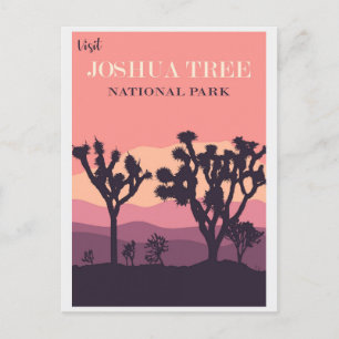 Cartão Postal Parque Nacional do Joshua Tree, Califórnia, rosa-r
