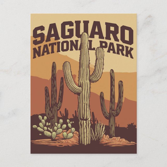 Cartão Postal Parque Nacional do Saguaro (Frente)