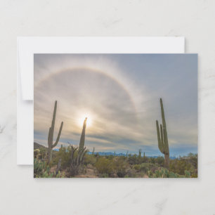 Cartão Postal Parque Nacional do Saguaro com Sun Halo