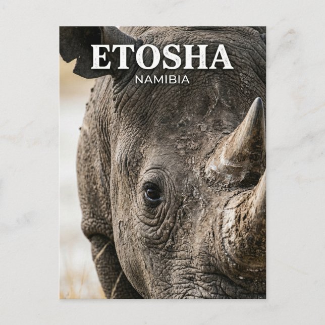 Cartão Postal Parque Nacional Etosha Namíbia (Frente)