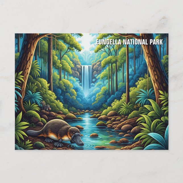 Cartão Postal Parque Nacional Eungella, Austrália (Frente)