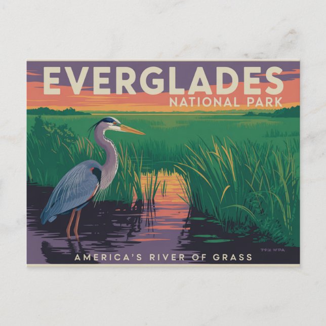 Cartão Postal Parque Nacional Everglades (Frente)