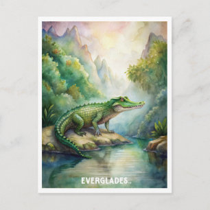 Cartão Postal Parque Nacional Everglades Aquarela 