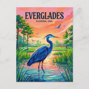 Cartão Postal Parque Nacional Everglades EUA