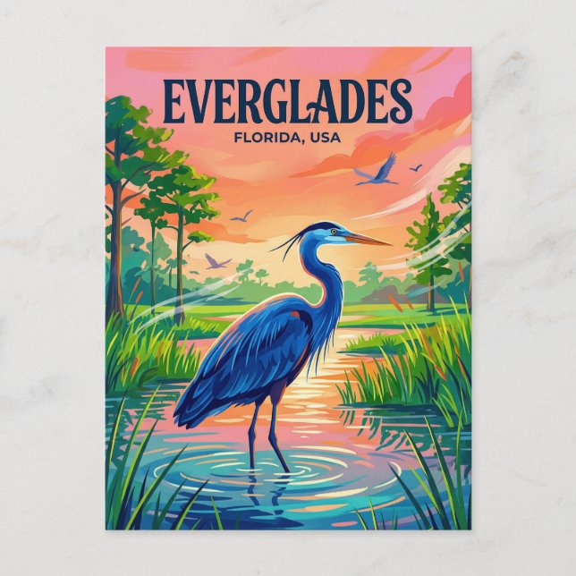 Cartão Postal Parque Nacional Everglades EUA (Frente)