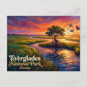 Cartão Postal Parque Nacional Everglades EUA