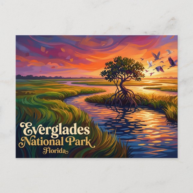 Cartão Postal Parque Nacional Everglades EUA (Frente)