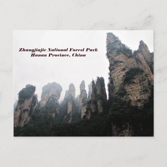 Cartão Postal Parque Nacional Florestal Zhangjiajie, China húnga (Frente)