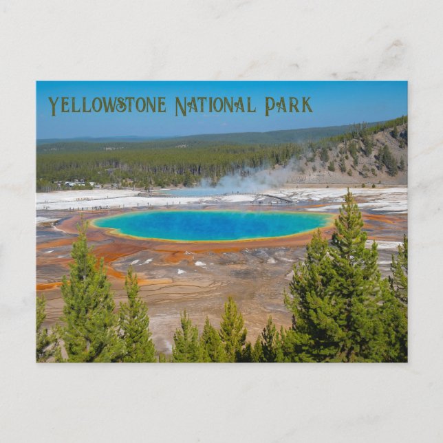 Cartão Postal Parque Nacional Grand Prismatic Primavera Yellowst (Frente)