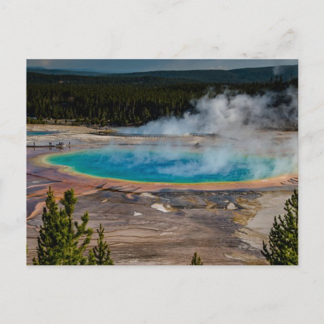 Cartão Postal Parque Nacional Grand Prismatic Primavera Yellowst (Frente)