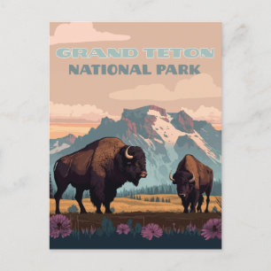 Cartão Postal Parque Nacional Grand Teton Jackson Wyoming Montan