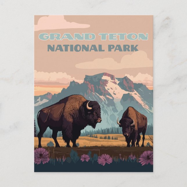 Cartão Postal Parque Nacional Grand Teton Jackson Wyoming Montan (Frente)