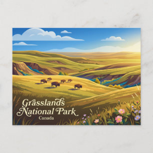 Cartão Postal Parque Nacional Grasslands Canadá