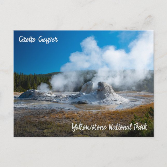 Cartão Postal Parque Nacional Grotto Geyser Yellowstone (Frente)