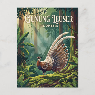 Cartão Postal Parque Nacional Gunung Leuser Indonésia