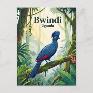 Cartão Postal Parque Nacional Impenetrável de Bwindi Uganda