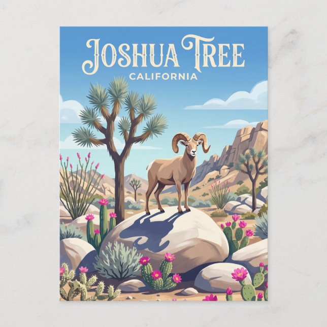 Cartão Postal Parque Nacional Joshua Tree EUA (Frente)
