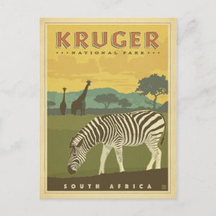 Cartão Postal Parque Nacional Kruger, África do Sul   Zebras e 