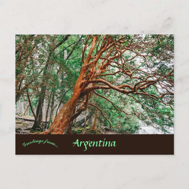 Cartão Postal Parque Nacional Los Alerces Chubut Argentina (Frente)
